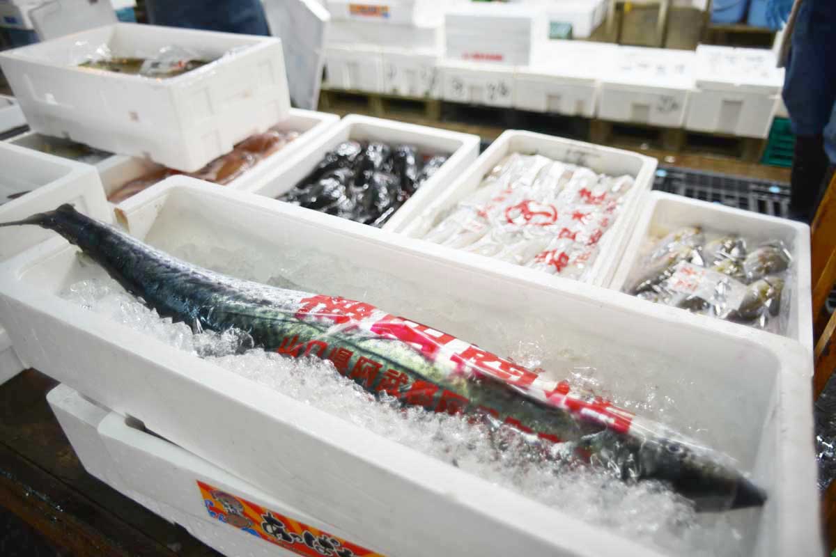 大阪・堺の飲食店さま向け、魚を市場価格でネット仕入れする方法について