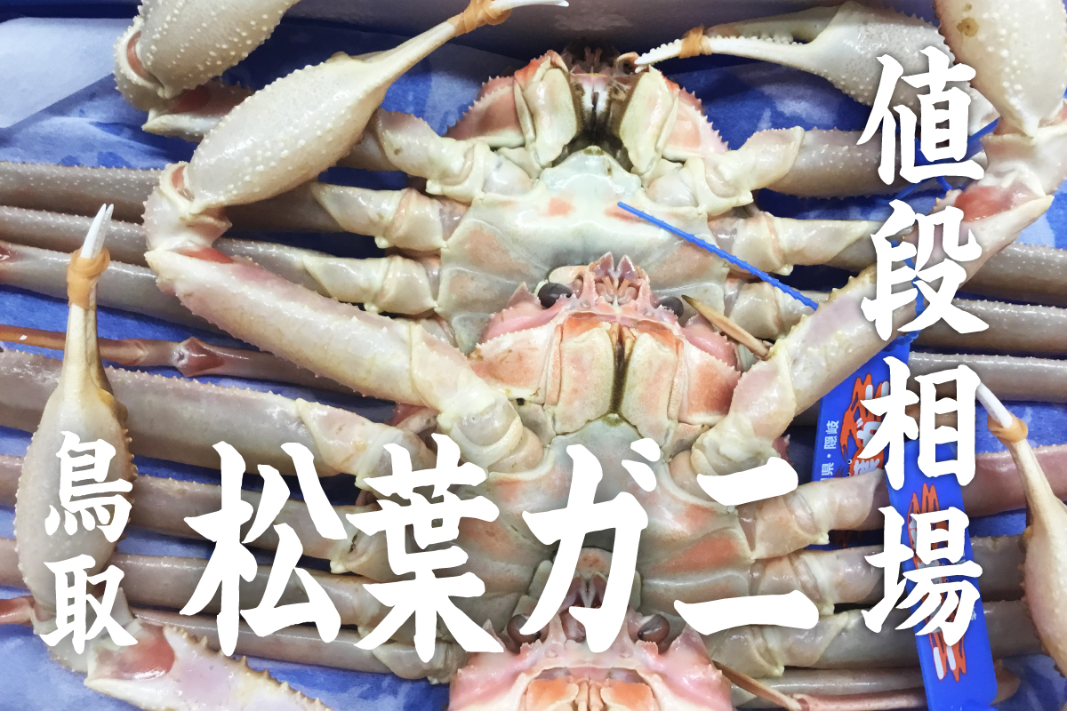 松葉ガニの仕入れなら魚問屋