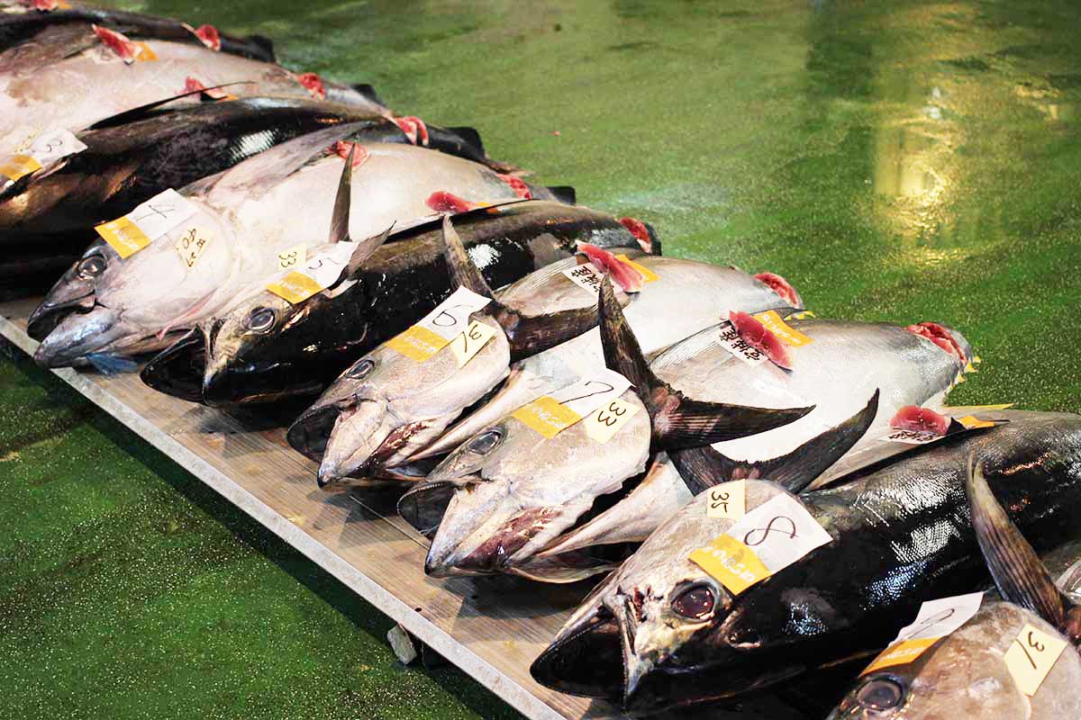 魚問屋株式会社