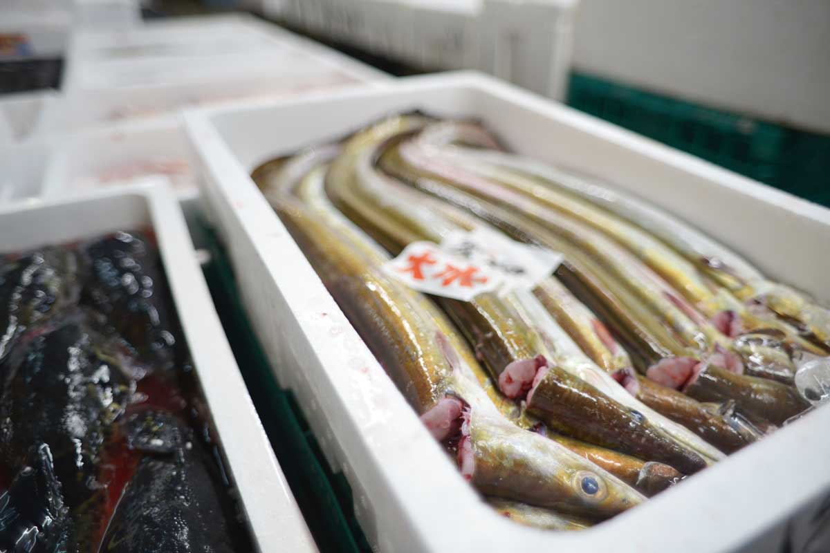 魚問屋株式会社