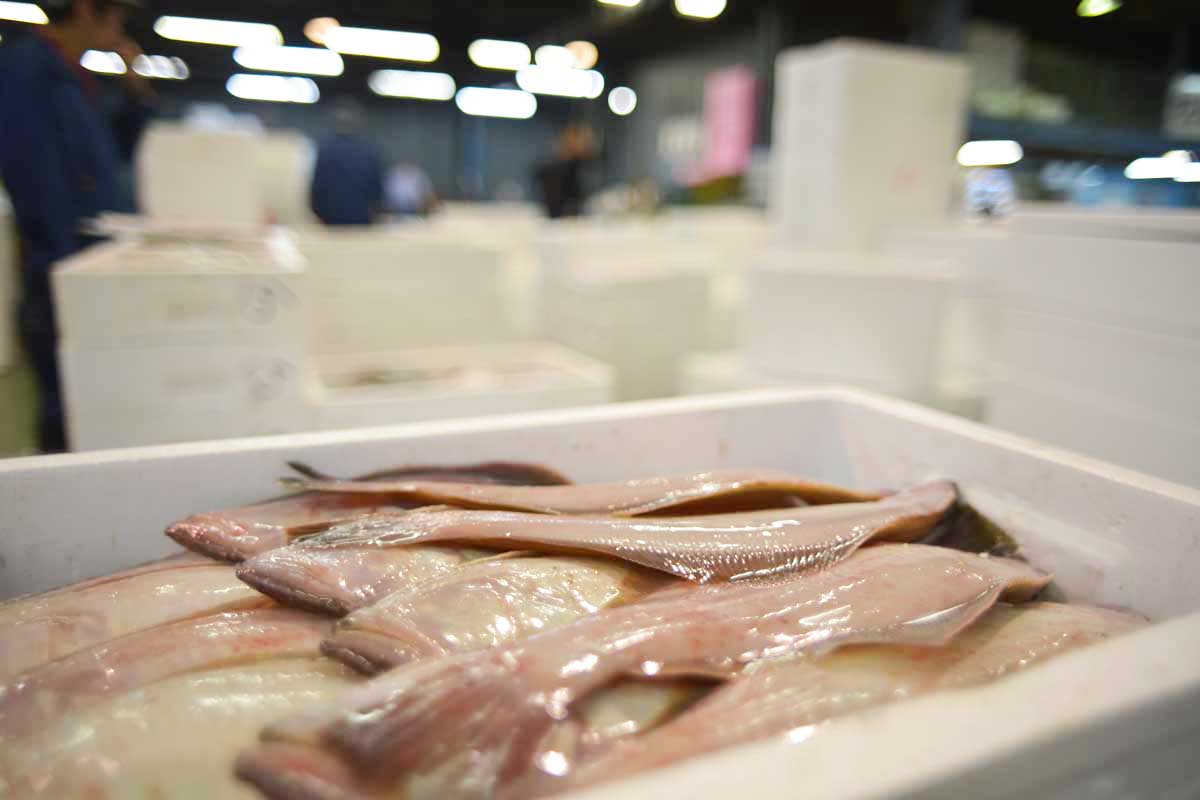 魚問屋株式会社