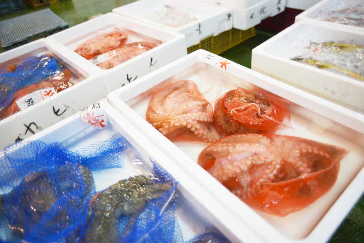 魚問屋株式会社