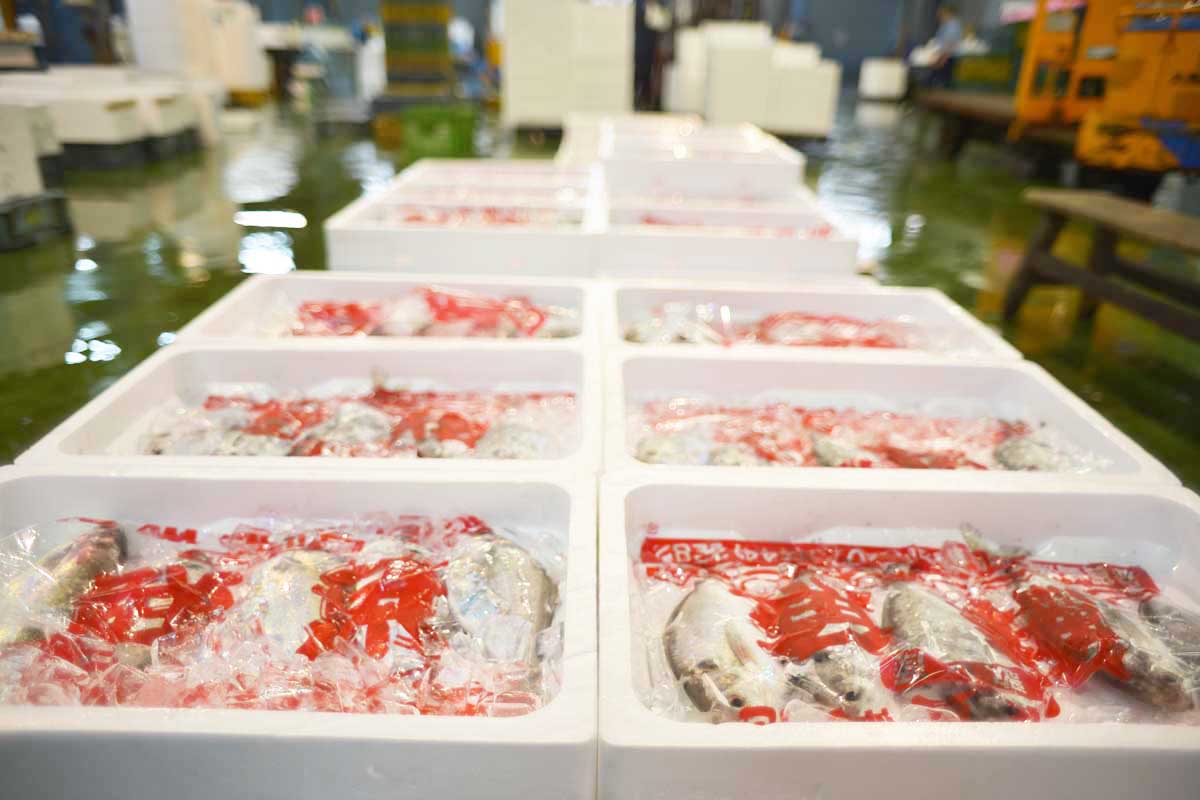 魚問屋株式会社