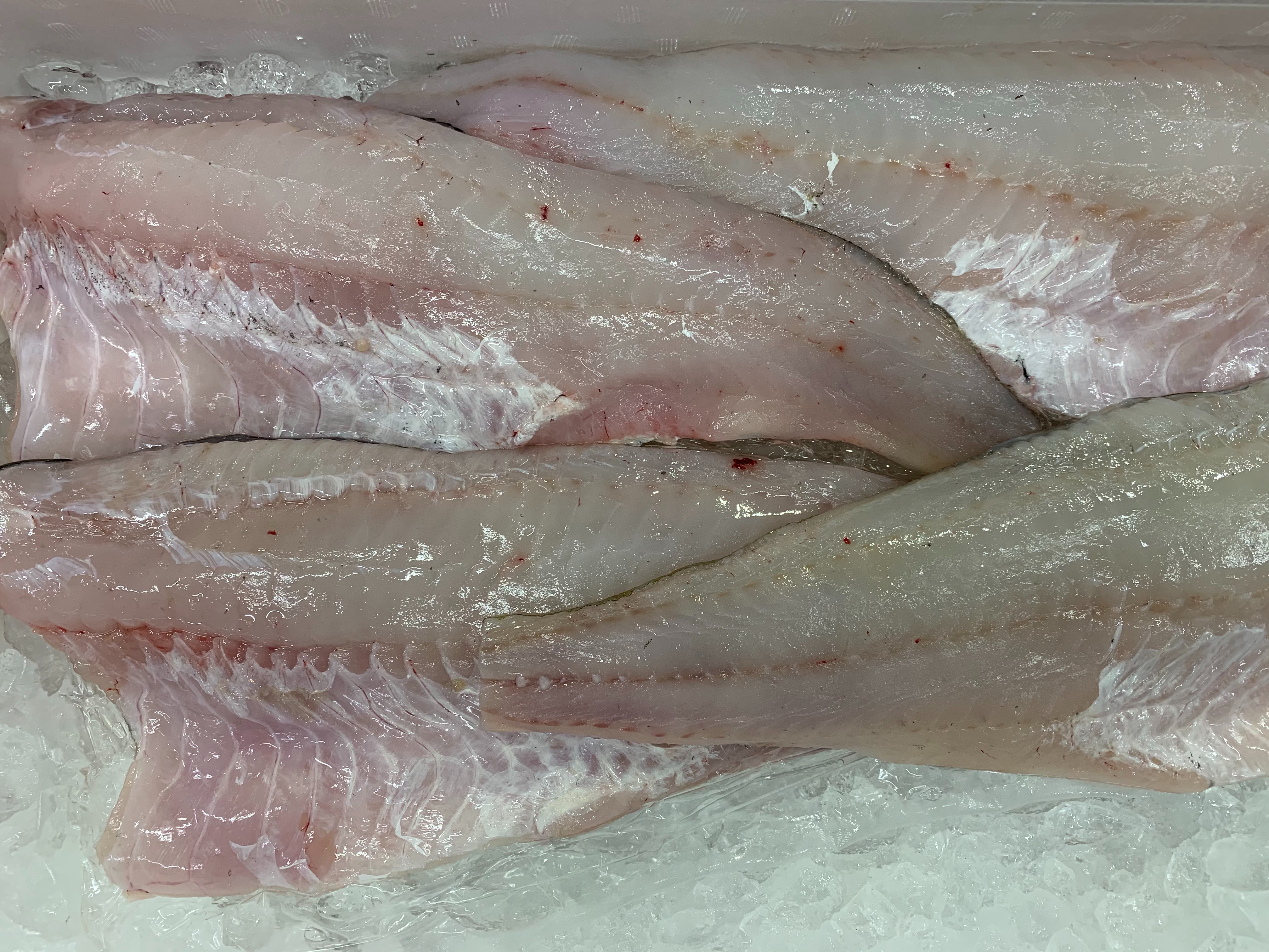 特/タラフィーレ