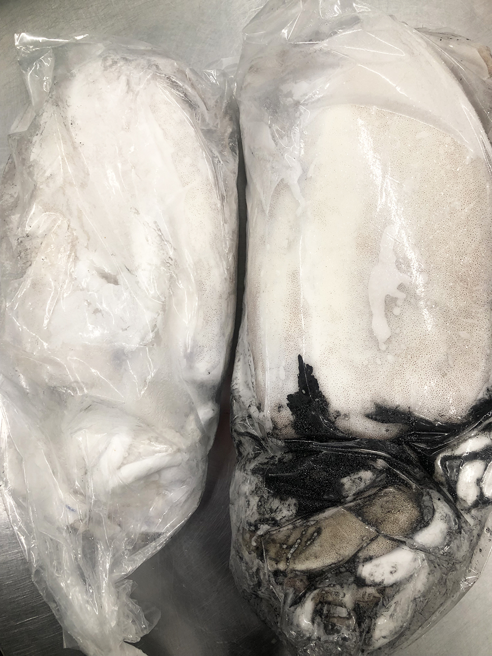 特/冷凍生モンゴイカ