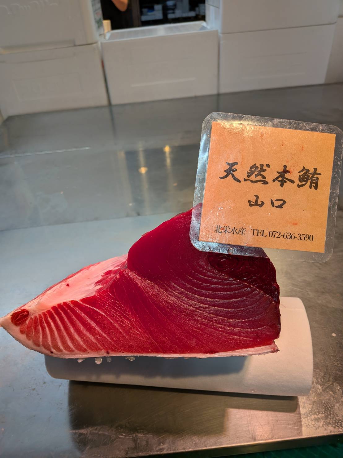 特/生天然本鮪（上赤身）