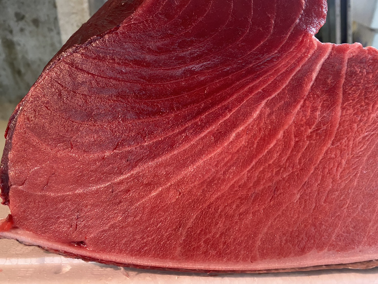 特/天然本マグロ（巻網）