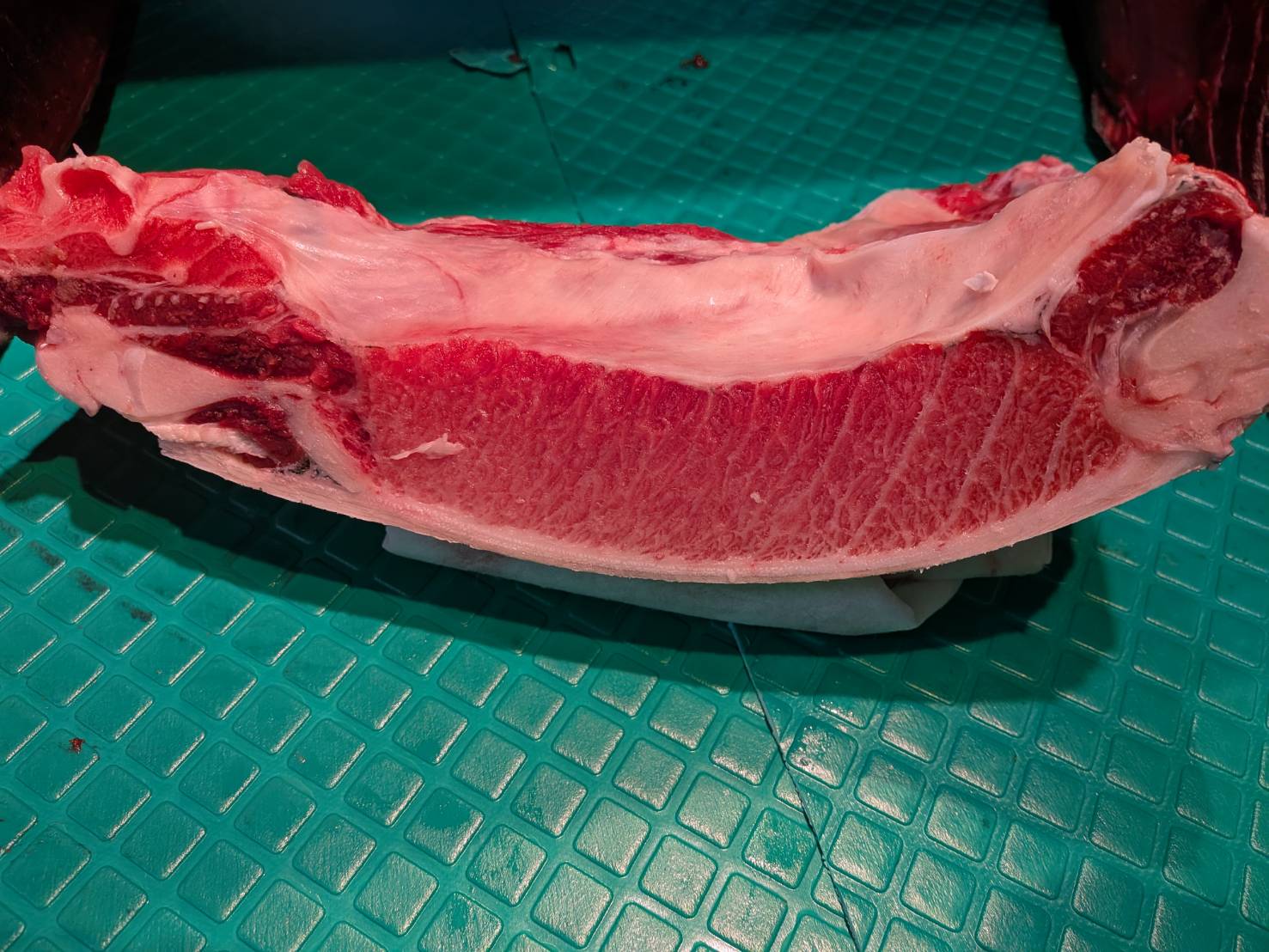 特/冷インド鮪カマ（超特大）